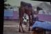 2018-02-02 DSC_1754 Indie