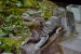 2018-02-23 DSC_3011