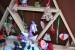 2018-11-24 DDSC_3651
