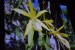 2019-02-15 DSC_5406